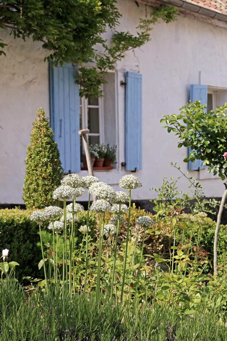 Chambres d'hôtes sur la Côte d'Opale 1 Maison_Hotes_118